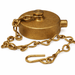 Hydrant Cap with Chain, 2 - 1/2" Female NST, Dixon FC250F - UnitedBuilt Equipment