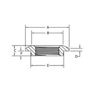 Tank Flange 1/4", Series 300, Phoenix Forge (THRFLGP0025) - UnitedBuilt Equipment