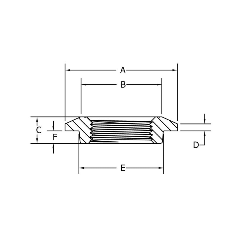 Tank Flange 1/4", Series 300, Phoenix Forge (THRFLGP0025) - UnitedBuilt Equipment